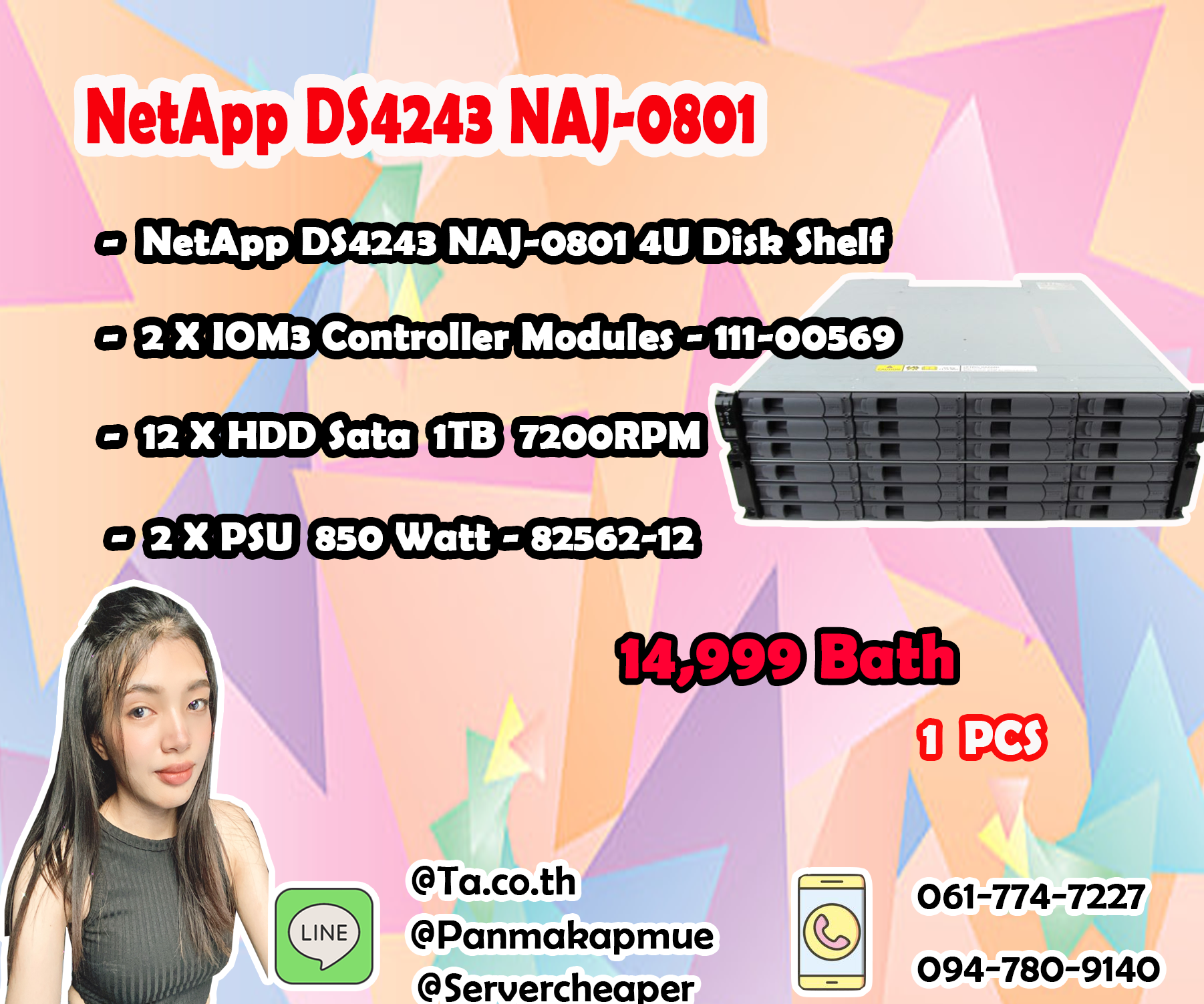 NetApp DS4243 NAJ-0801 HDD 1 TB
