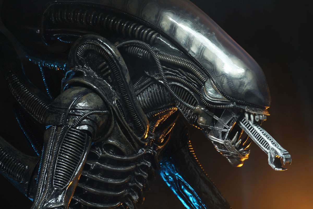 [สั่งจอง] Neca : Alien [Reissue]