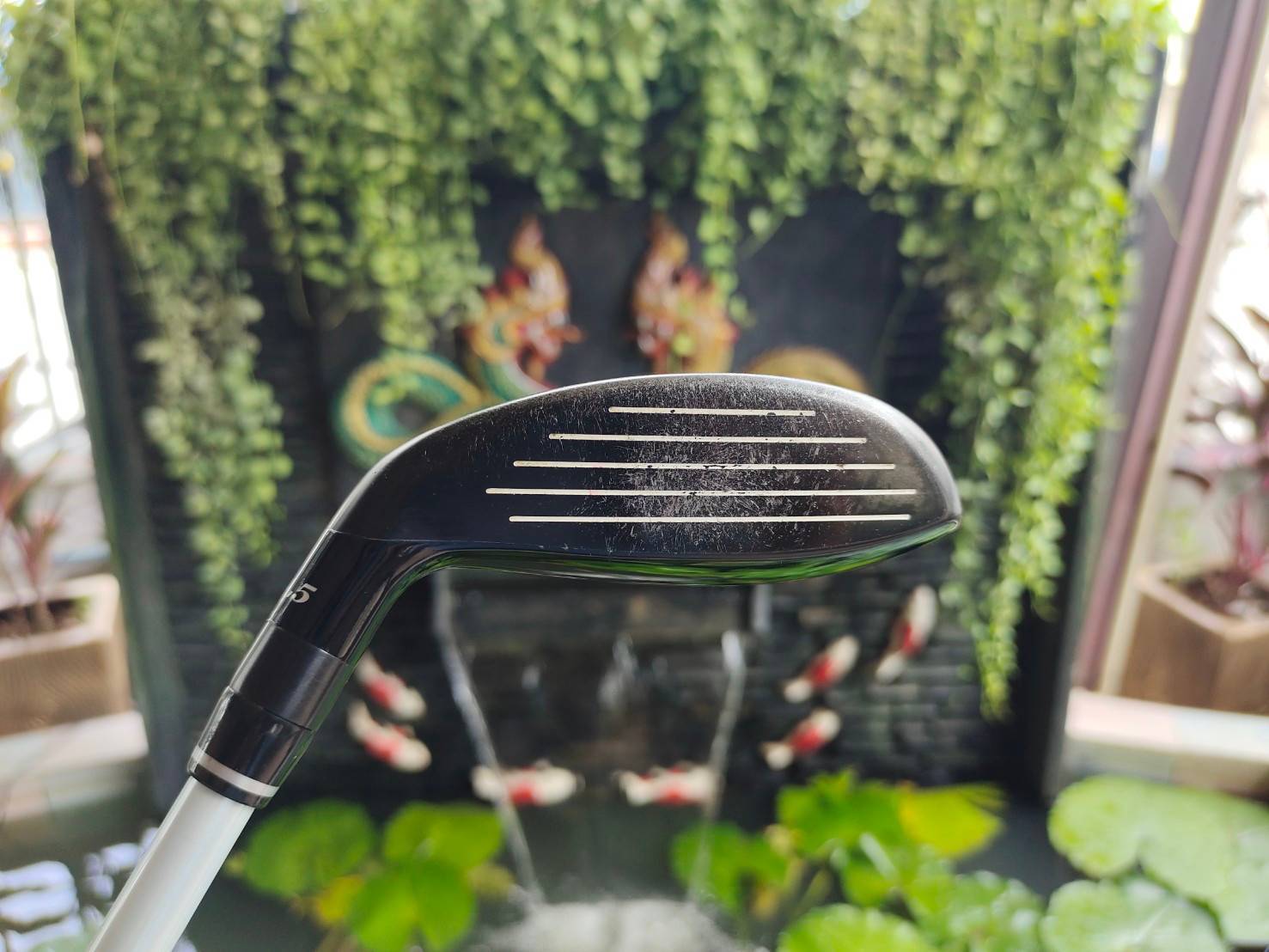 UT 4 Royal Collection