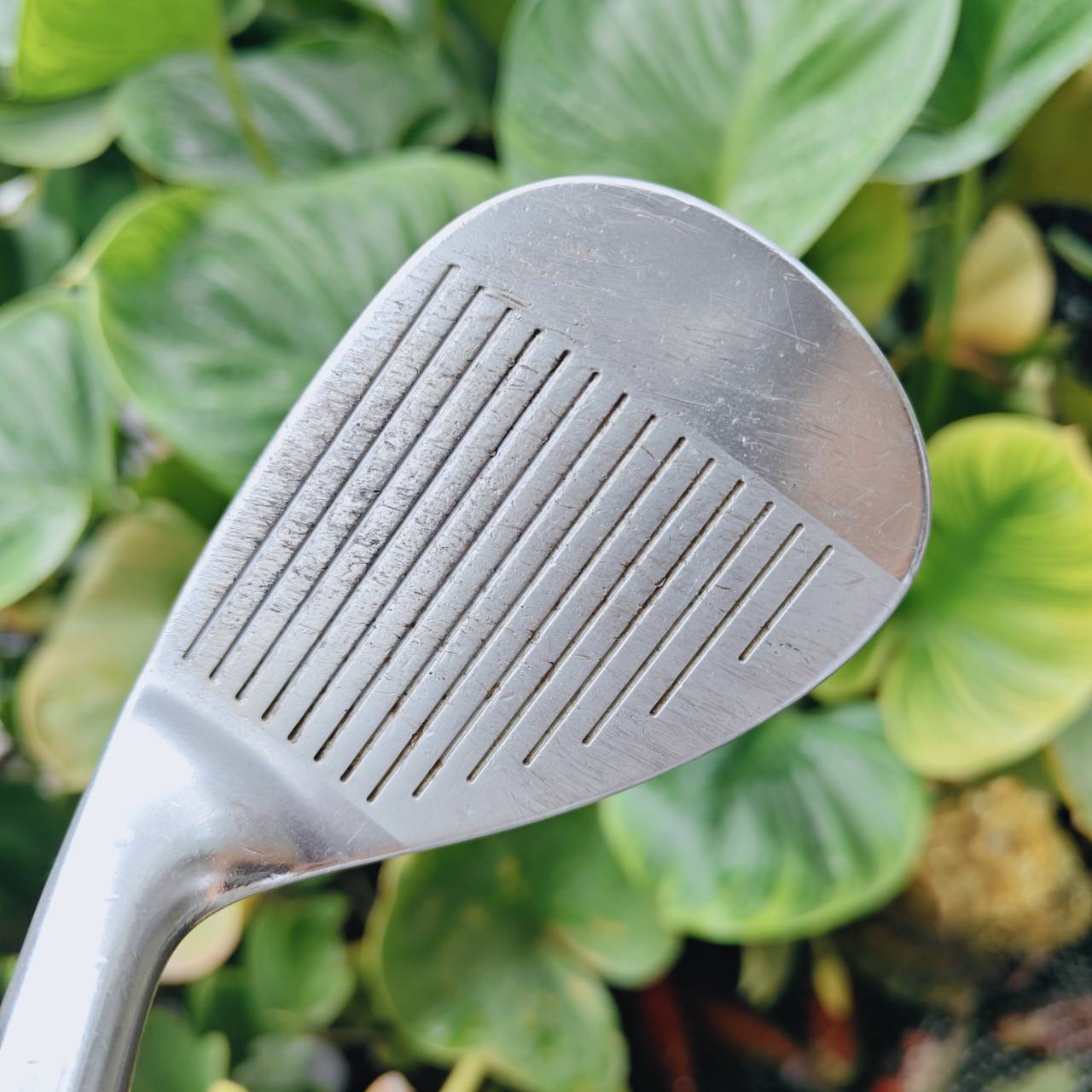 Wedge Mizuno MP Series – 56° (Bounce 11) สัมผัสความคลาสสิกในทุกช็อตสั้นจาก Mizuno Japan