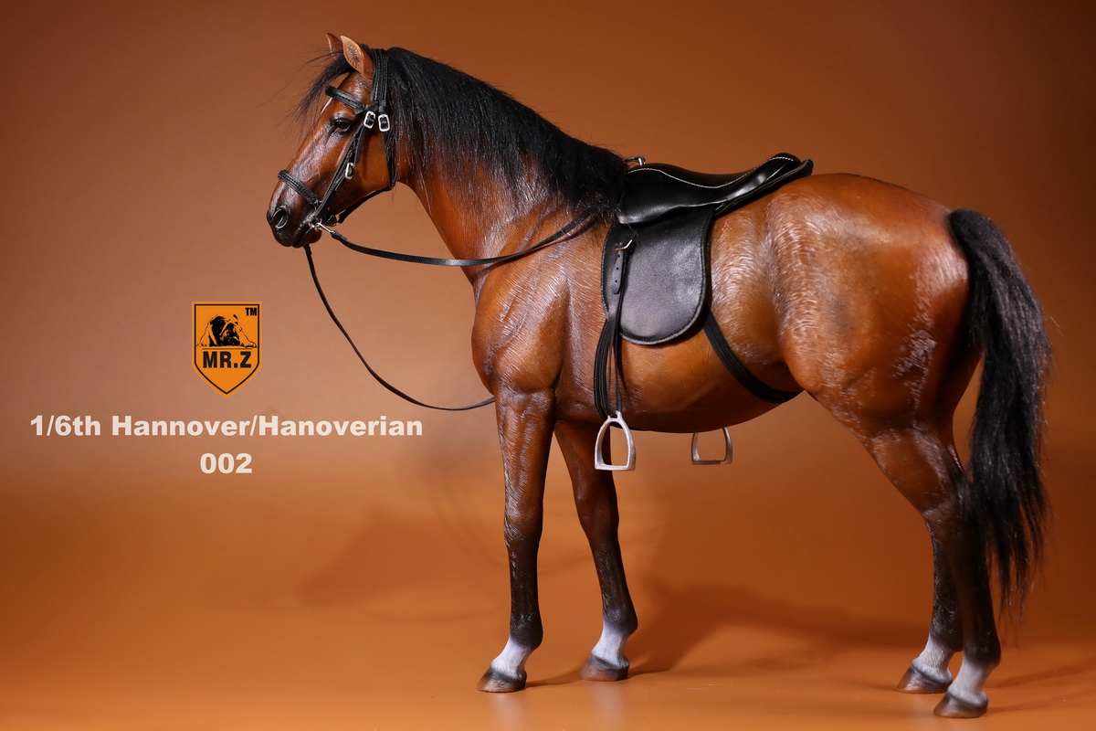 [สินค้าพรีออเดอร์] ม้าศึก Mr.Z 001~005 1/6 Germany Hanoverian Animal Hannover Horse Model 12" Figure