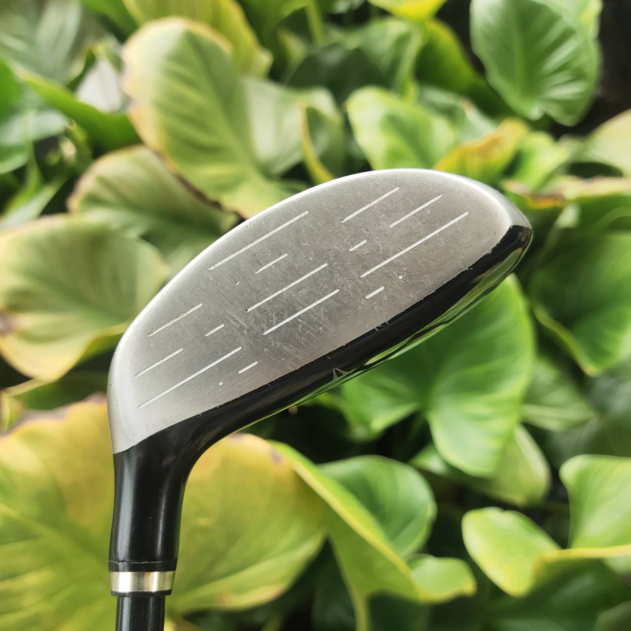 U6 XXIO Loft 20 องศา ก้านเดิม MP400 FLEX R Hybrid ยอดนิยม ตีแทนเหล็กยาวง่ายกว่าเยอะ