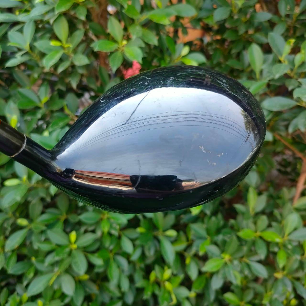 DRIVER KAMUI TOUR ASIRI CUPFACE TITANIUM องศา 9 ก้าน KUMUI FLEX S หน้าเด้งจัดๆ สวีตสปอตกว้าง วัสดุระดับพรีเมี่ยม ตีไกลจัด