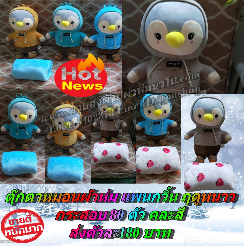 ตุ๊กตตาผ้าห่มแพนกวิ้นใหม่ กระสอบ 80 ตัว ส่งตัวละ 180 บาท