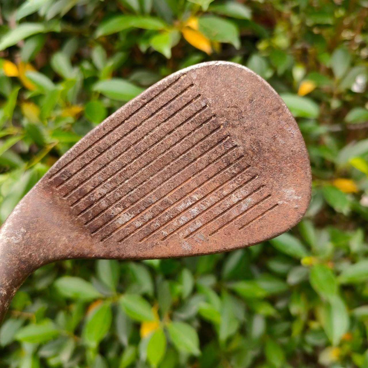 WEDGE TOURSTAGE X-WEDGE องศา 58 ก้าน DYNAMIC GOLD S200 เหล็กสนิมเนื้อแท้ๆ นุ่มกว่าดีกว่า และสปินได้เต็มขั้น ร่องหน้าไม้ ทำงานได้เต็มที่ ตกหยุดถอยหลัง