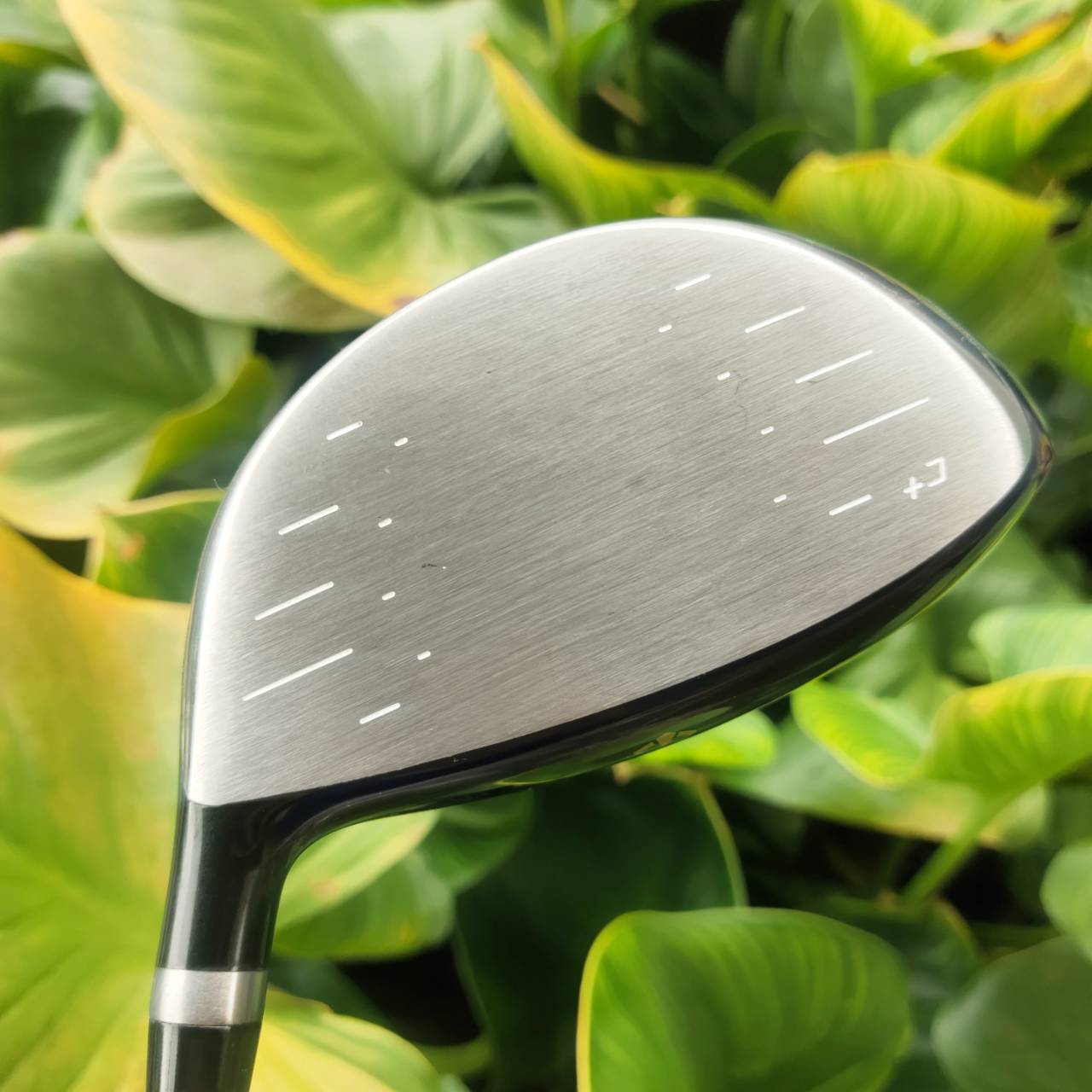 Driver HONMA S-06 รุ่น C+ และก้านระดับ 3 ดาว FLEX R หายากมากๆๆๆๆ ไม้ระดับเทพเจ้า