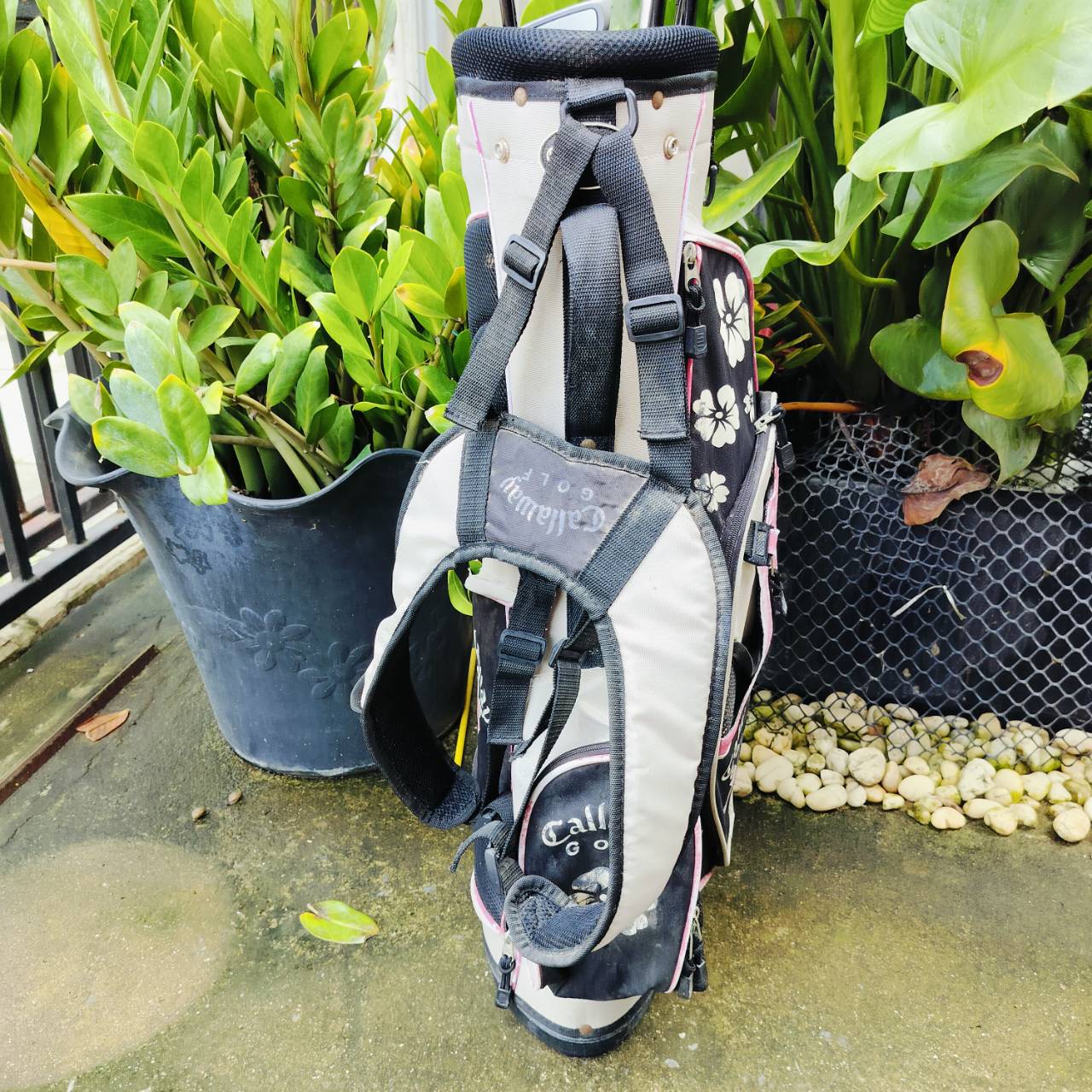 **ไม้กอล์ฟเด็กผู้หญิง** Callaway XJ SERIES เหล็ก 7 ความยาว 34 นิ้ว ชุดกอล์ฟเด็กผู้หญิง ที่ได้คุณภาพ มาตรฐานเดียวกับไม้ผู้ใหญ่ จำนวนไม้กอล์ฟเยอะมาก ของดีมาก ของใหม่แพงมาก ดีกว่าซื้อชุดจากจีนเยอะ!!! ไม้กอล์ฟพรีเมี่ยมมือสอง ของแท้ By NakaraLuxurious