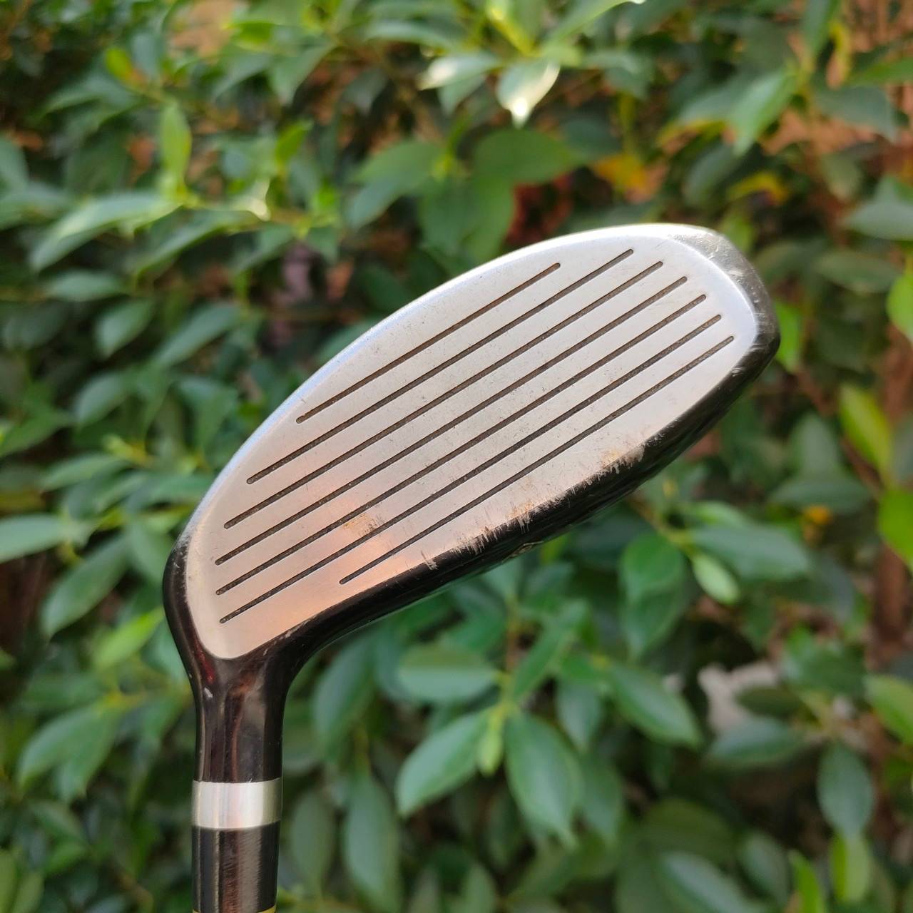 FW3 GOSEN DREANV EYE SUPER ELASTIC ก้าน GOSEN FLEX R