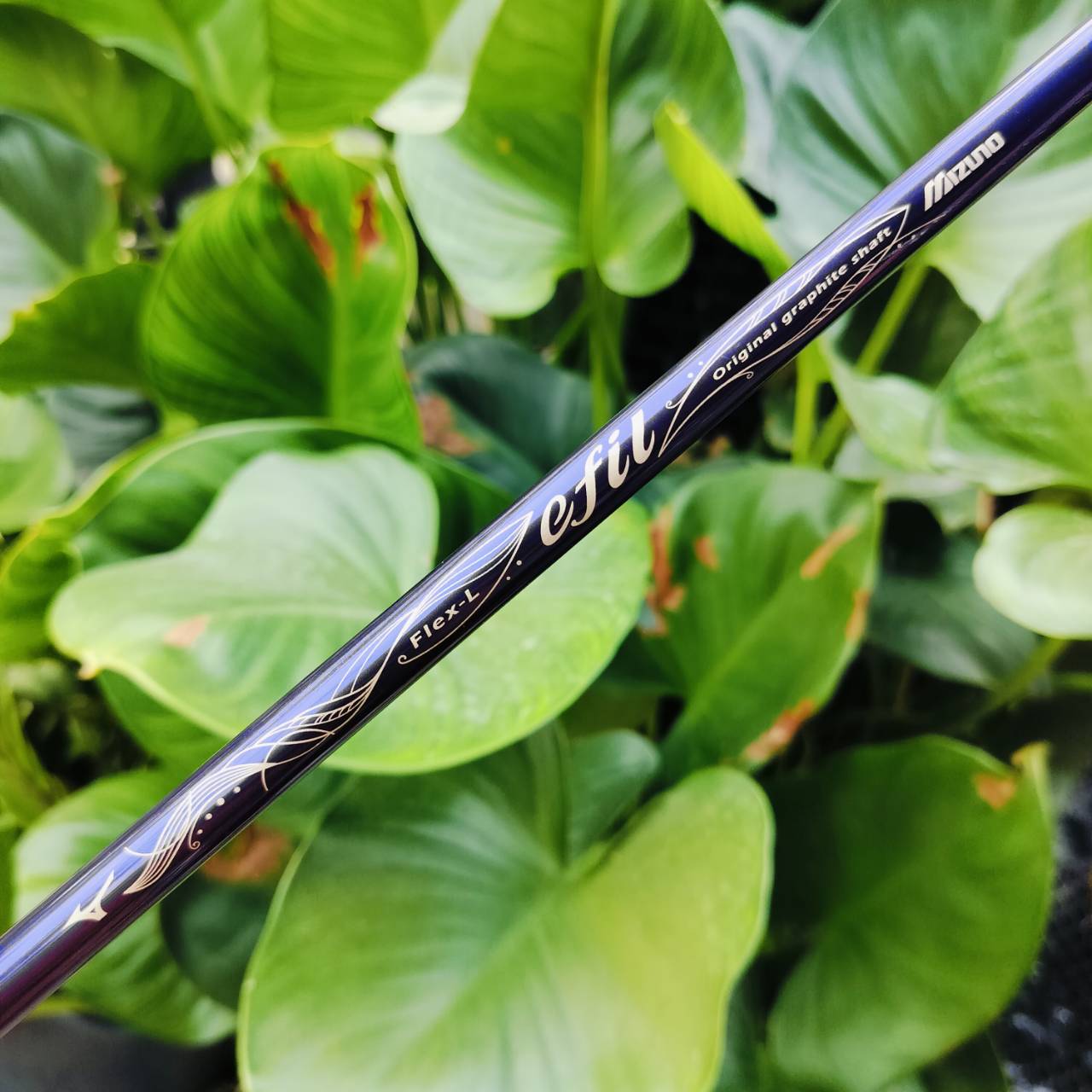 *** ไม้กอล์ฟสำหรับผู้หญิง *** FW5 MIZUNO EFIL 7 ก้าน FLEX LADY ออกแบบมาเพื่อ คุณผู้หญิงเอเชียโดยเฉพาะ เบามาก ไม้กอล์ฟพรีเมี่ยมมือสอง ของแท้ By NakaraLuxurious