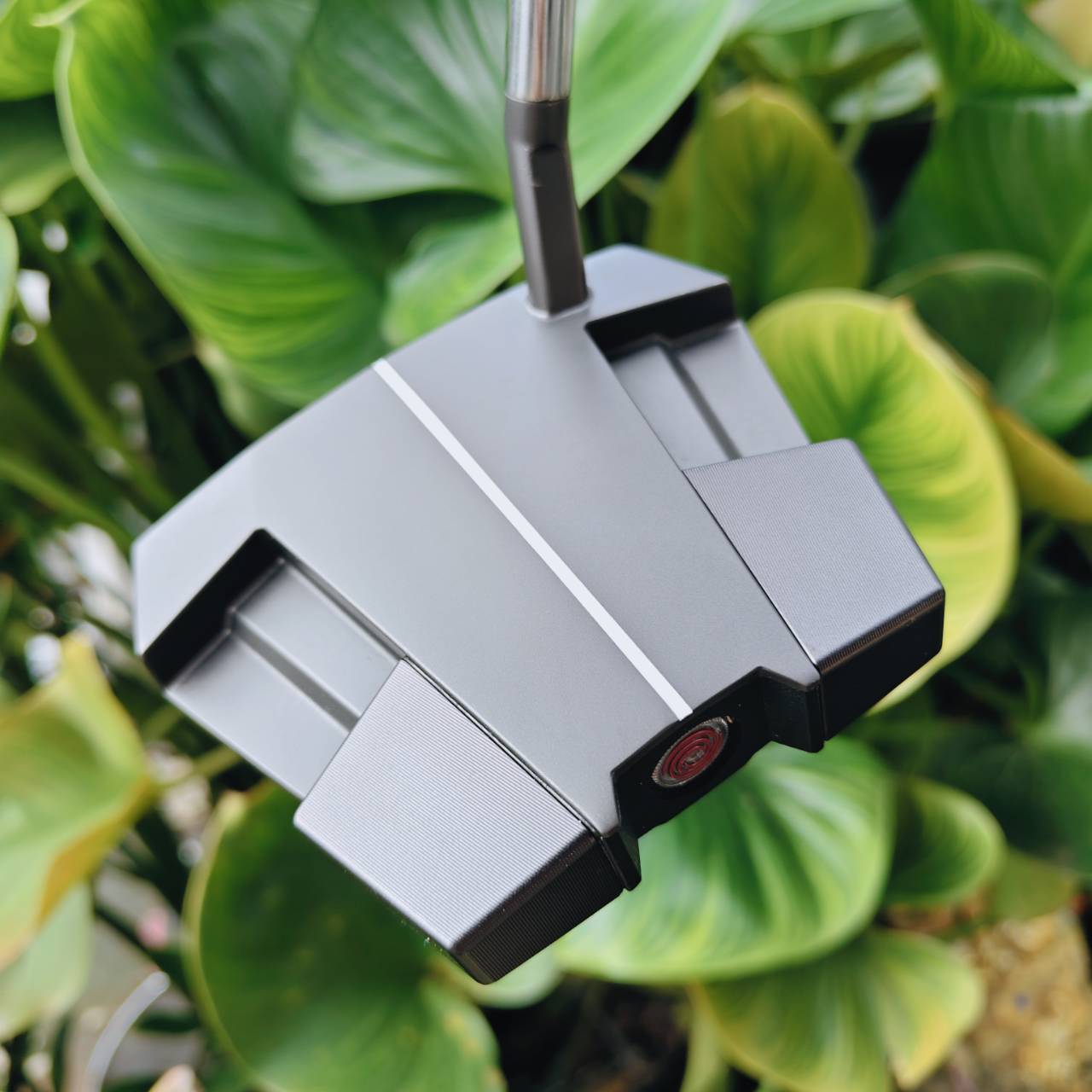 ถนัดซ้าย (Left-Handed) -- ODYSSEY ELEVEN Tour Lined