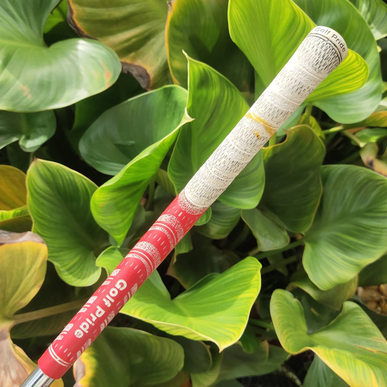 TOURSTAGE X-BLADE CB แค่ชุดแต่ง ราคาก็แพงหูฉีกแล้วค่ะ!! ปลอกคอแต่งทั้งชุด กริพ GOLF PRIDE ทั้งชุด