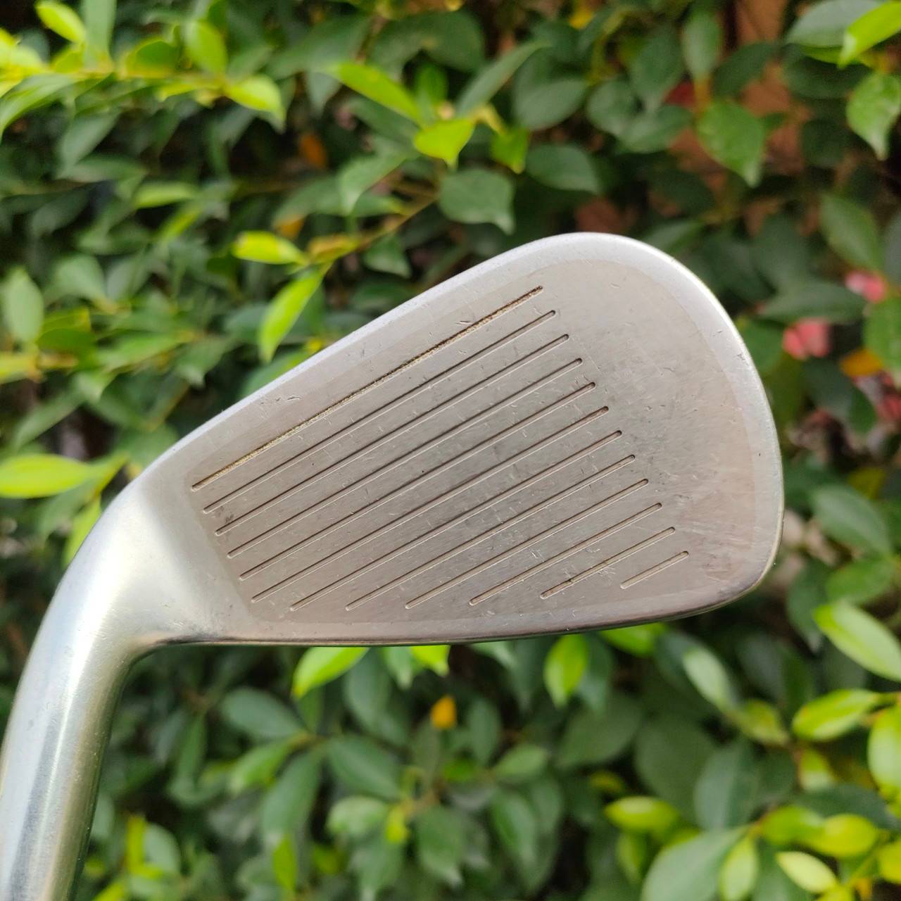 ชุดเหล็ก BRIDGESTONE TOURSTAGE VIQ มีเหล็ก 6-9 เเละ PW ก้าน TSI-50 FLEX R ชุดเหล็กหน้าเด้ง ญี่ปุ่น ที่หน้าไม้มีแผ่นพิเศษ อีกหนึ่งแผ่น ช่วยให้ตีไกล และสปินคมจัด ตีง่ายมากๆ ไกลกว่าปกติ 1 เบอร์