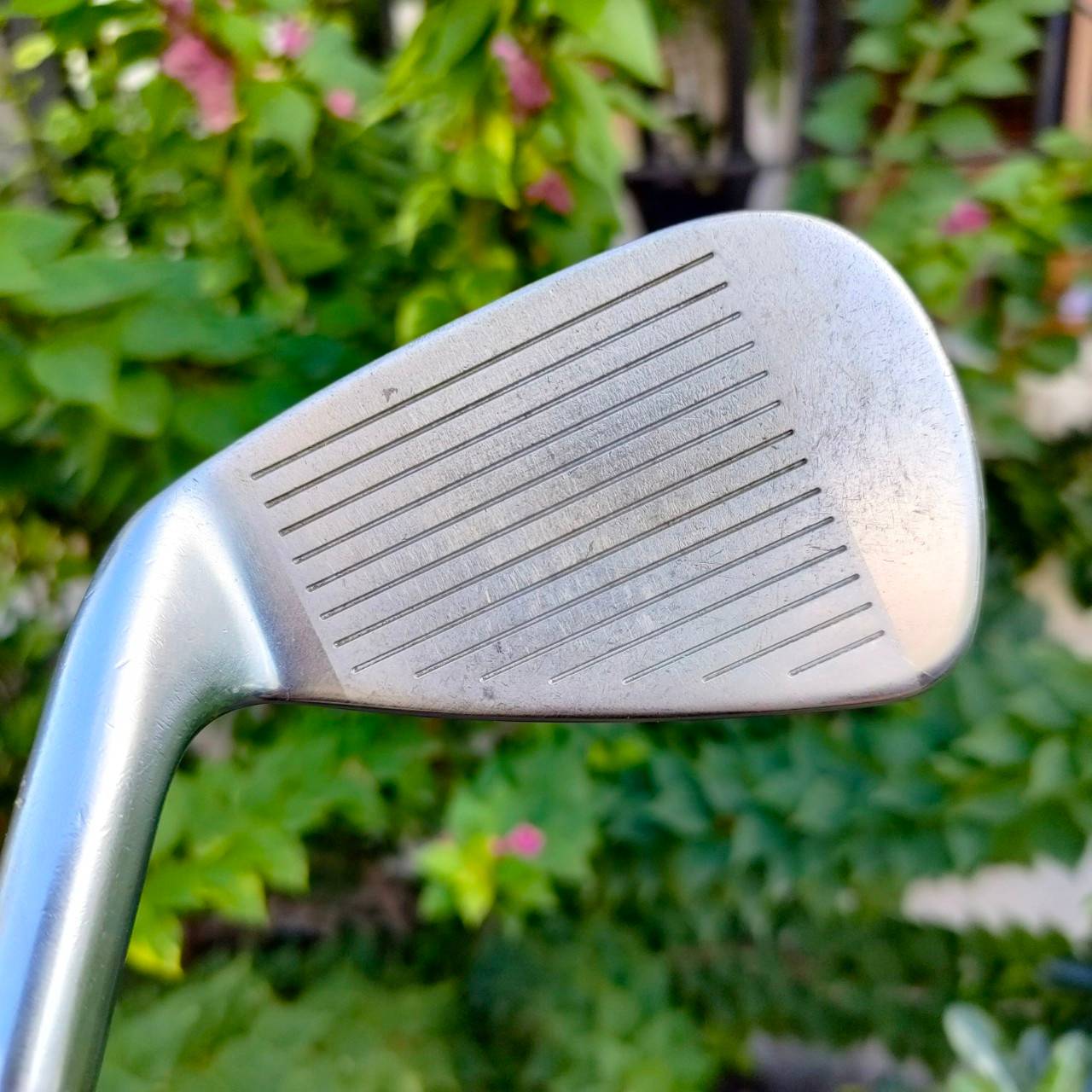 เหล็ก 7 CALLAWAY LEGACY FORGED ก้าน LOW TORQUE FLEX S เหล็ก FORGED CAVITY พรีเมี่ยม สูงสุดของ CallawaY
