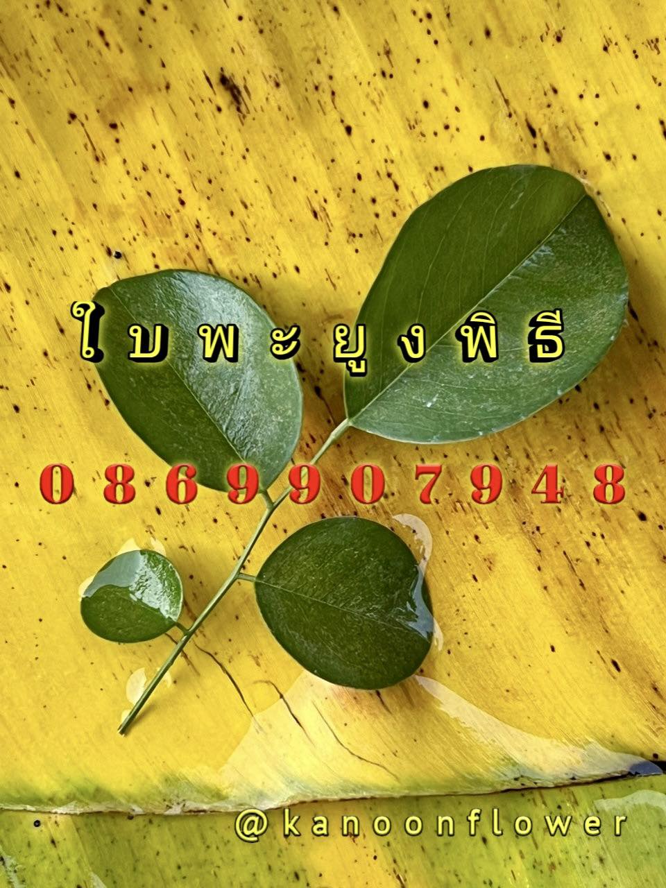 ใบไม้มงคล (พิธี)