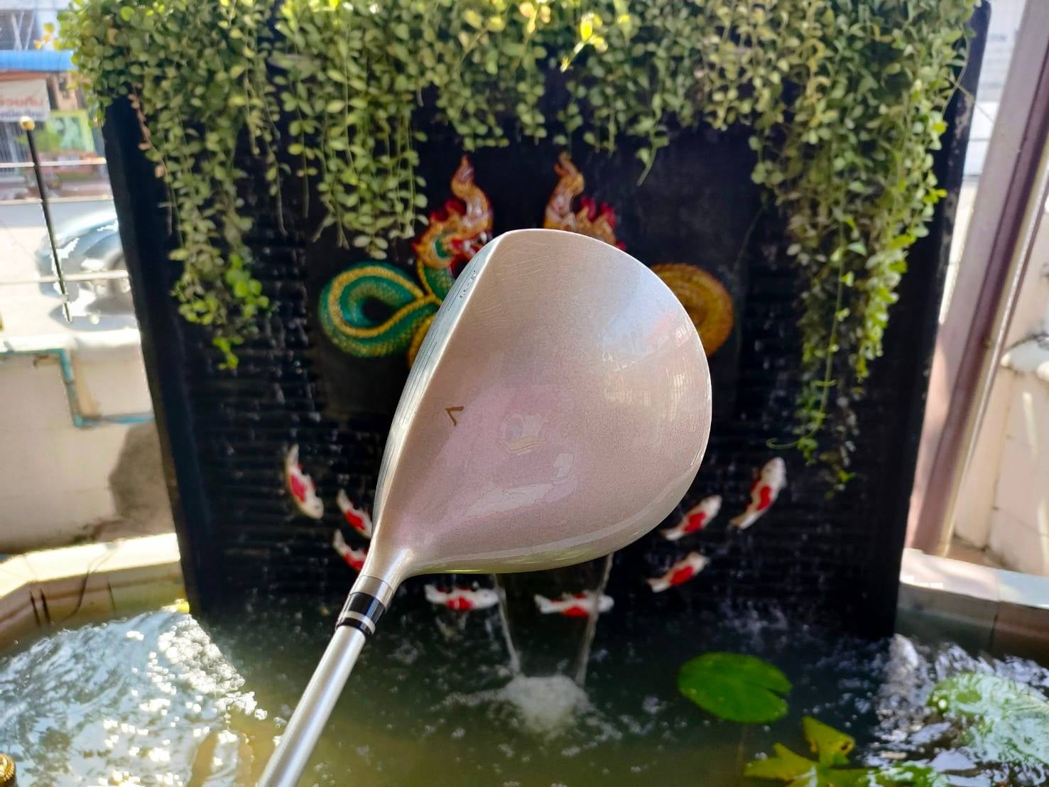 FULLSET GOSEN LADY MADE IN JAPAN