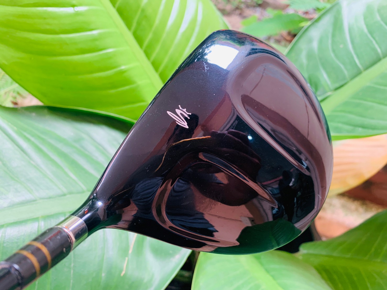 DRIVER KING COBRA S9.1