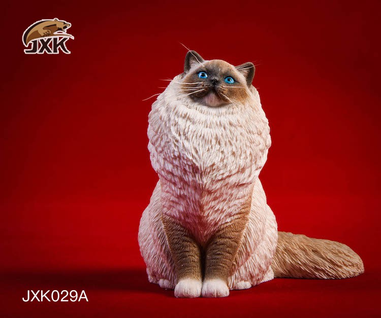 [สั่งจอง] JxK.Studio 1/6 Jxk029/ Jxk030 A/B/C/D -Ragdoll / British Shorthair Cat