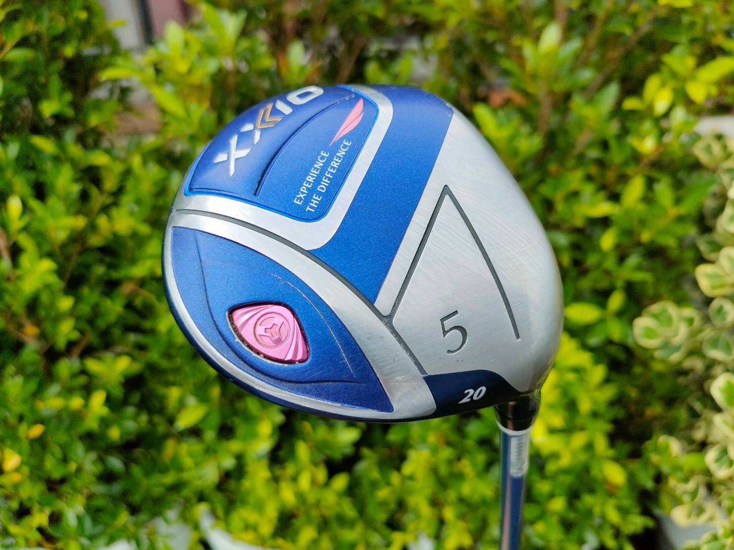 Fairway 5 XXIO ELEVEN LADY