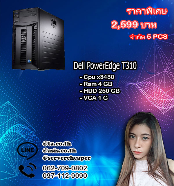 Dell PowerEdge T310