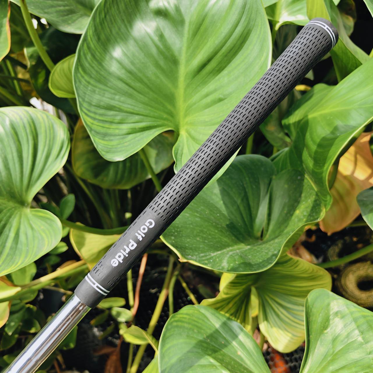 WEDGE PING TOUR-W – 58° | Bounce 6° – ความแม่นยำรอบกรีนที่คุณต้องลอง!