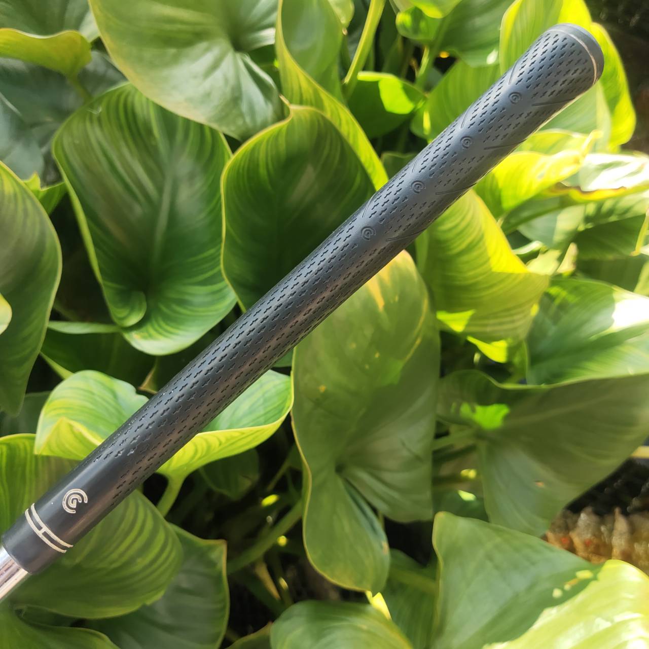 WEDGE CLEVELAND CG10 องศา 54 หนึ่งจุด LOW BOUNCE หน้าใบยังสวย ร่องทำงานได้เต็มที่ ตกหยุดๆ