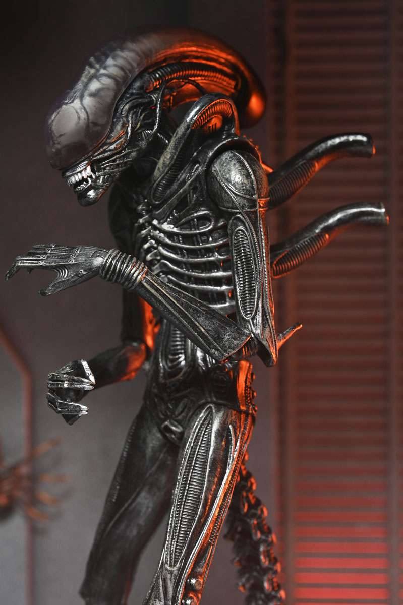 [สั่งจอง]Neca : Xenomorph XX121