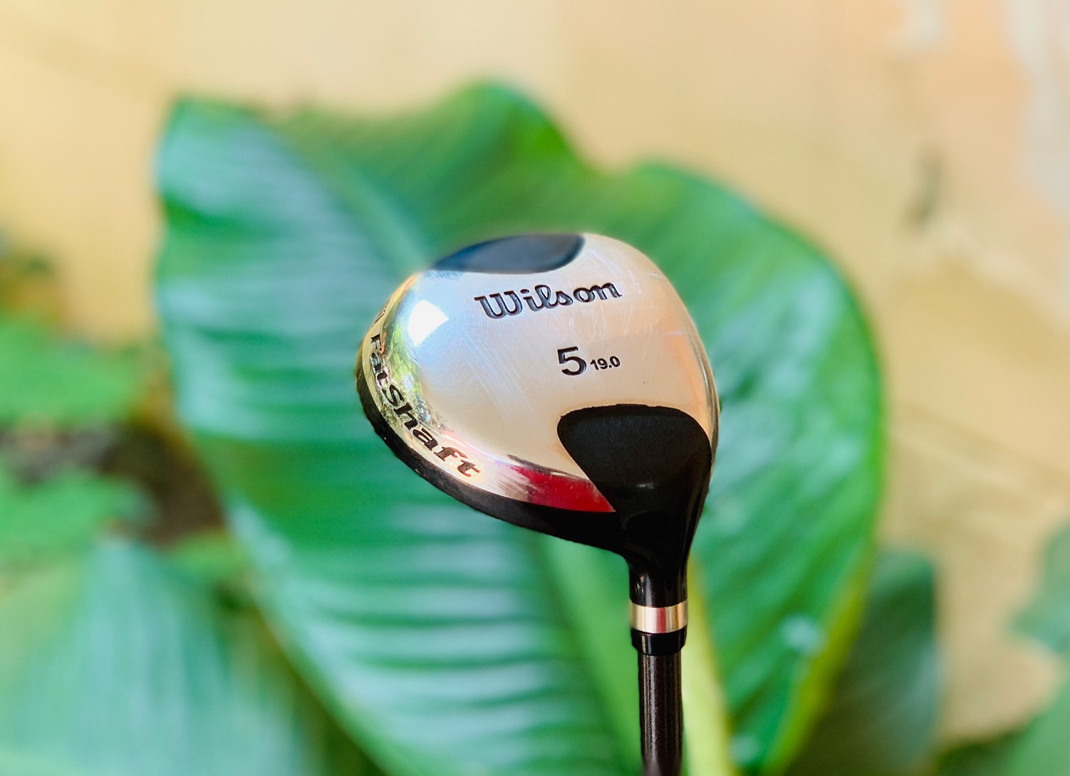 FAIRWAY 5 WILSON องศา 19