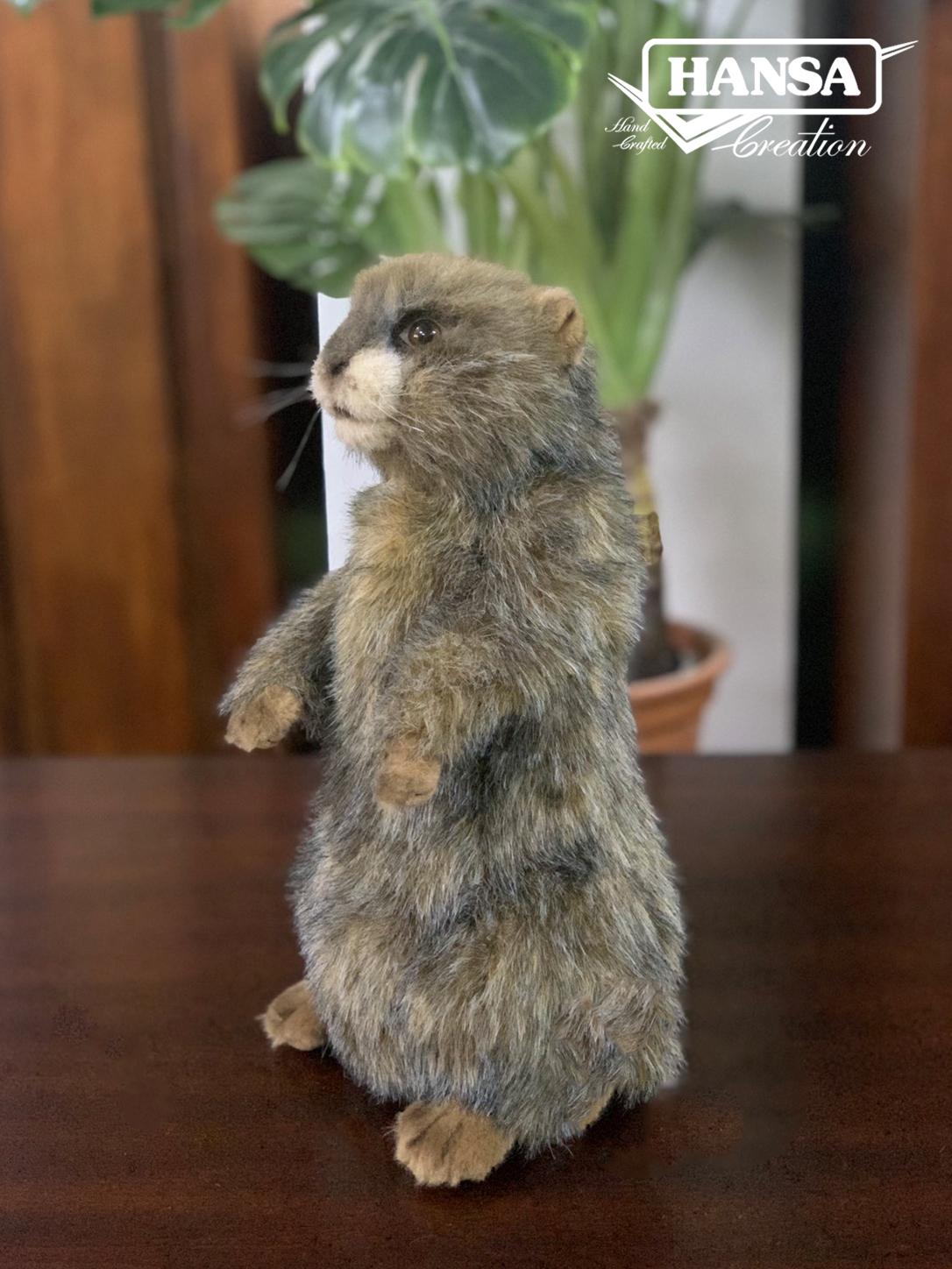 8101 Alpine Marmot 29cm.H