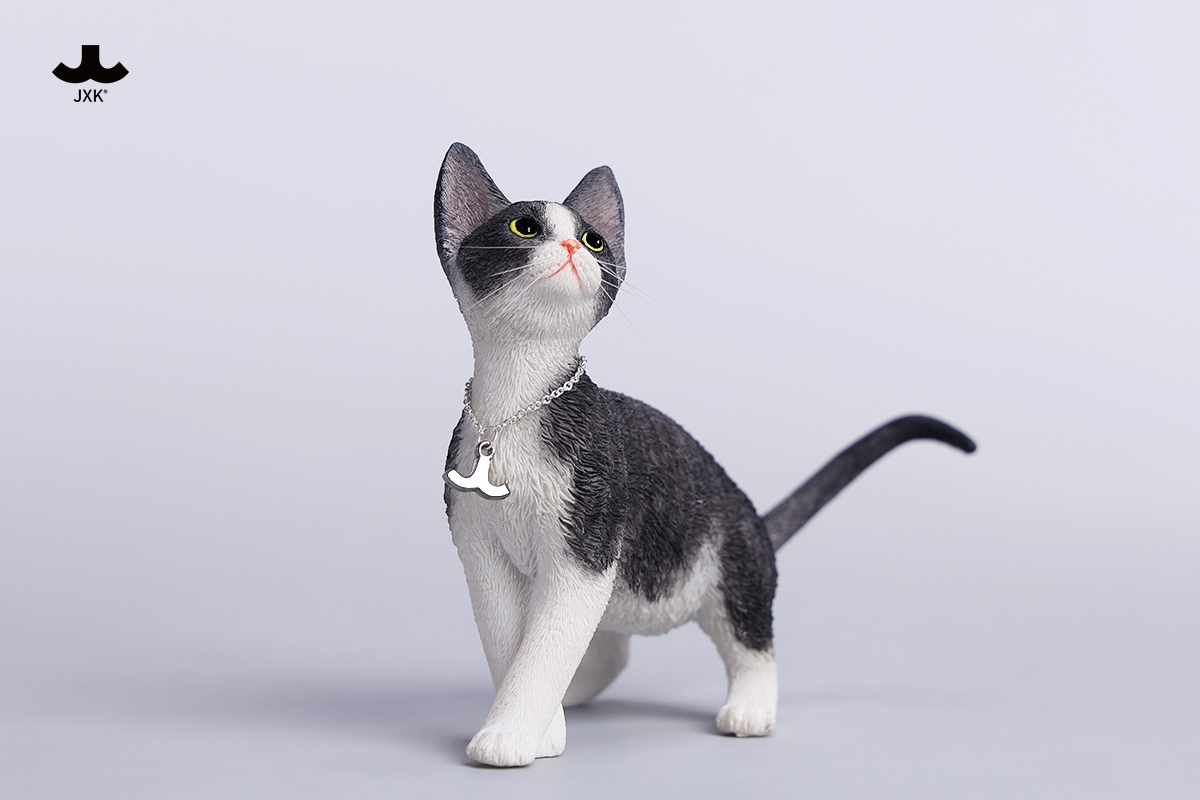 [สั่งจอง]JXK 1/6 : Devon Rex Cat Figurine V4