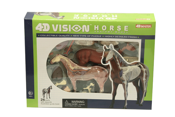 โมเดลม้า (4D Vision Horse) ,ของเล่นเสริมพัฒนาการ, ของเล่นเด็กอนุบาล, สื่อการสอนเด็กอนุบาล