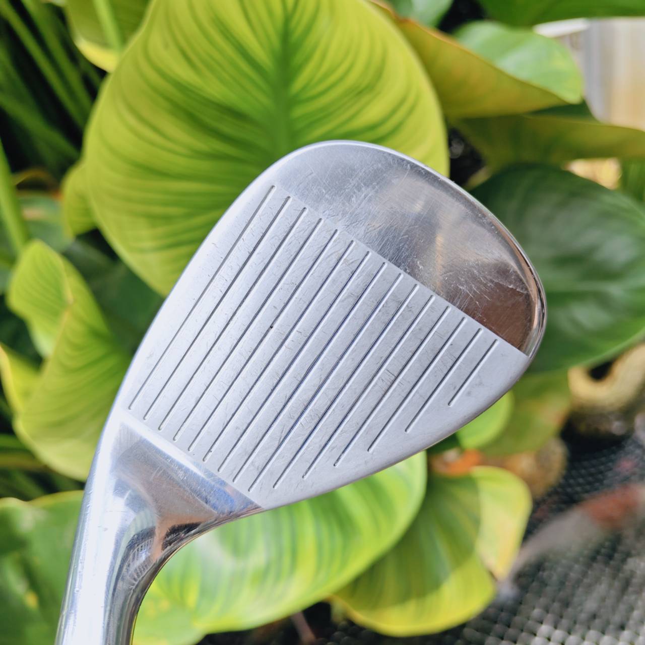 WEDGE CG12 ZIP GROOVE 54° BOUNCE 12 – ช็อตรอบกรีนแม่นยำ ควบคุมง่าย ระเบิดทรายได้ดี!