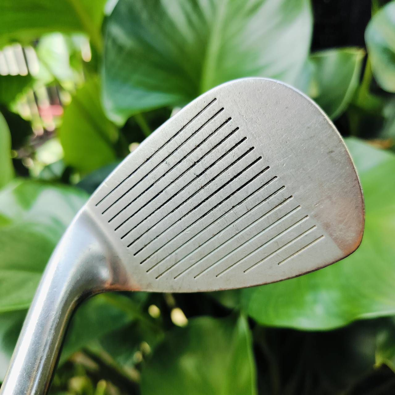 WEDGE MARUMAN M-SERIES องศา 50 ก้าน WEDGE ชิพแม่นยอด เข้าบอล สอดบอลดีมาก ชิพง่ายมาก และขึ้นกรีนได้แบบสนุกๆ ไม้กอล์ฟพรีเมี่ยมมือสอง ของแท้ By NakaraLuxurious