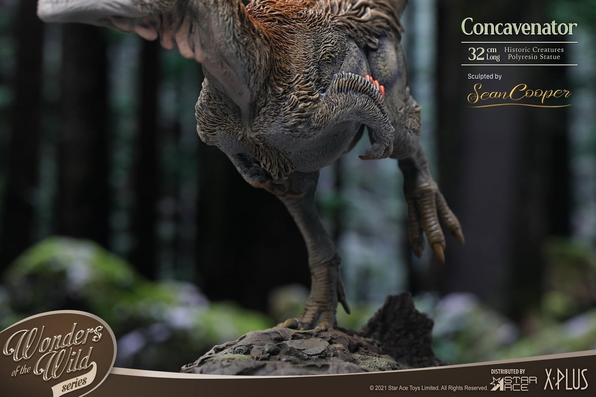 [สั่งจอง] X-Plus / STAR ACE SA5002 : WONDER WILD series Concavenator Statue
