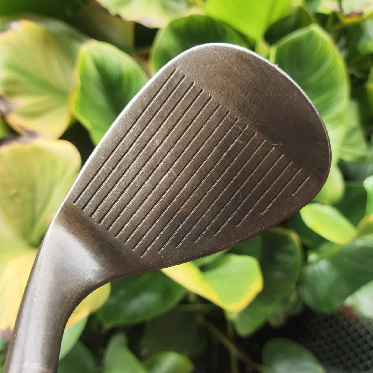 TITLEIST VOKEY DESIGN 256-10 OIL CAN 8620 หนึ่งในเวดจ์ระดับตำนานจาก Bob Vokey