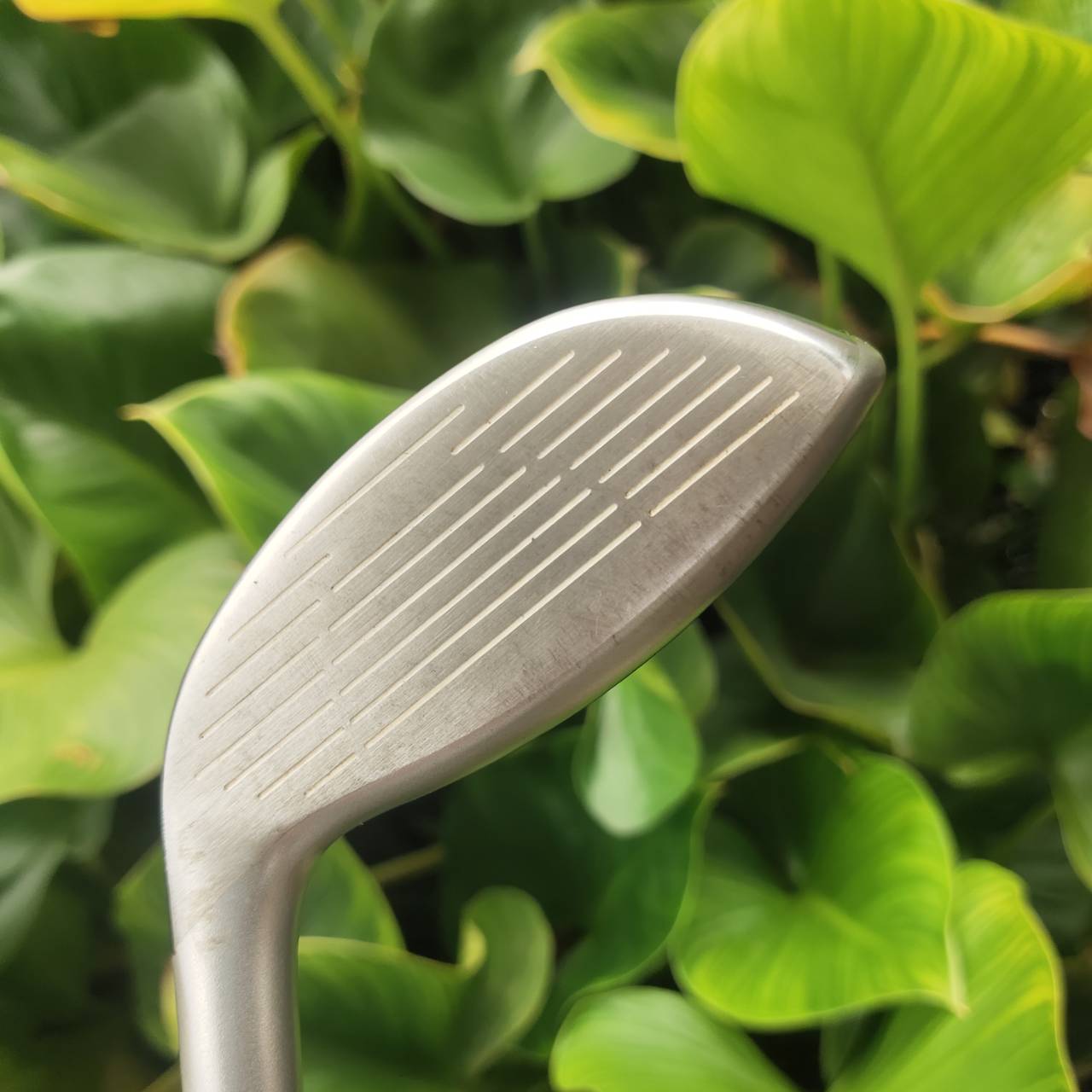 UT/Hybrid PING G10 24° ออกแบบด้วย หัวไม้กว้างกว่าและ Crown โค้ง → CG ต่ำและลึก