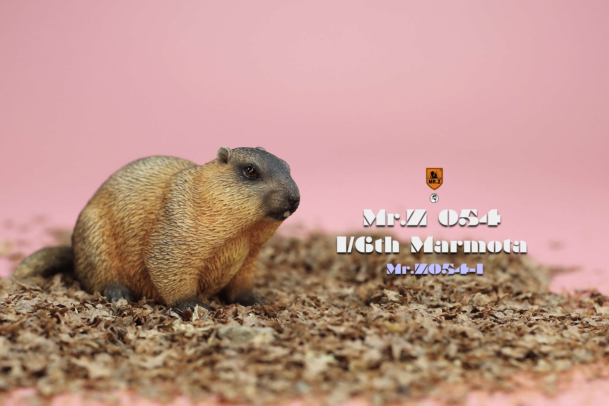 [สั่งจอง]Mr.Z MRZ054 1/6 : Animal Model - Marmota