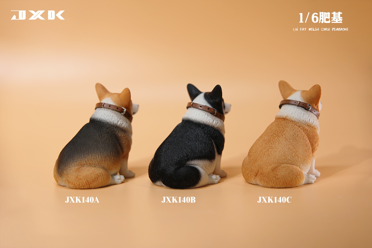 [สั่งจอง]JXK 1/6 : Fat Welsh Corgi Pembroke