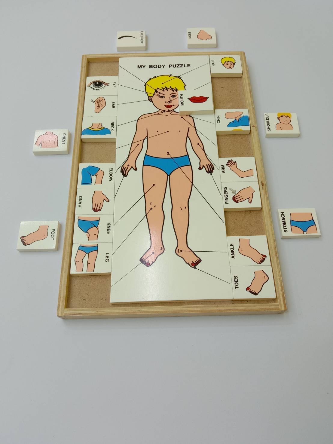 จับคู่ร่างกายของฉัน (ภาษาไทย) , ของเล่นไม้, ของเล่นเสริมพัฒนาการ, ของเล่นเด็ก, สื่อการสอนเด็ก