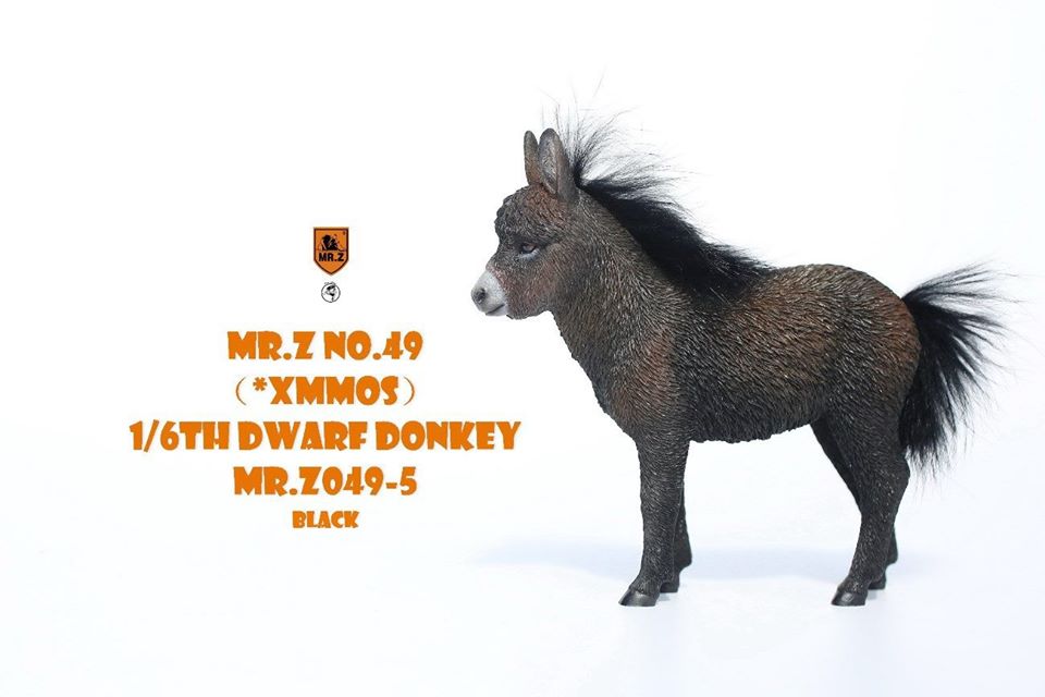[สั่งจอง] Mr.Z MRZ049 Animal Model No.49: 1/6th Dwarf Donkey