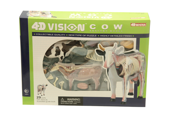 โมเดลวัว (4D Vision Cow) ,สื่อการสอน สัตวแพทย์, ของเล่น วิทยาศาสตร์ ทดลอง, พร้อมส่ง