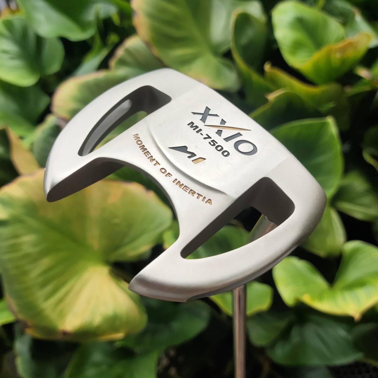 PUTTER XXIO Mi-7500 ทรงปีกสองข้างนิยมที่สุด และมีหน้า Milled ช่วยในการเกาะไลน์ รุ่นนี้ตอบโจทย์สุด