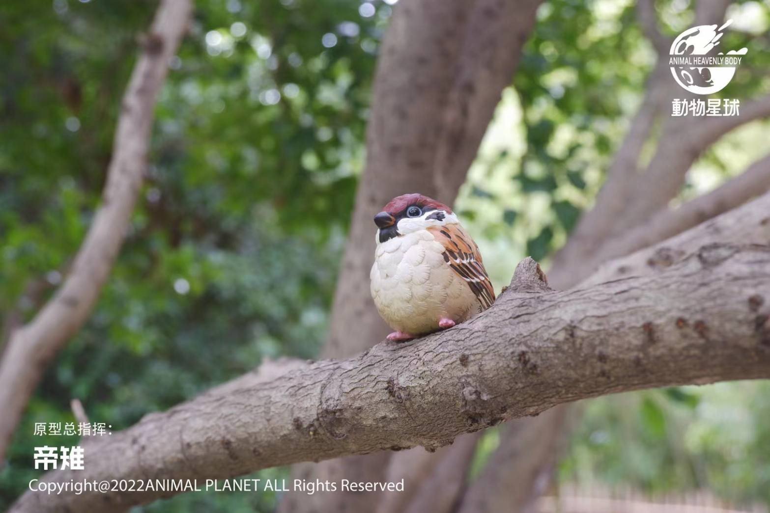 [สั่งจอง]Animal Planet : a series of laugh and grow fat No.10 -Bird