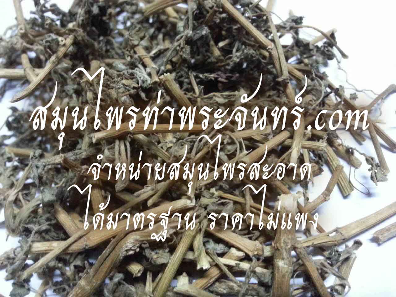 โคกกระสุนแห้ง ( 500กรัม - 1กิโล ) / ( 500g - 1kg ) สมุนไพรท่าพระจันทร์