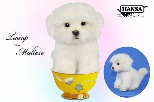 8416 Maltese Tea Cup