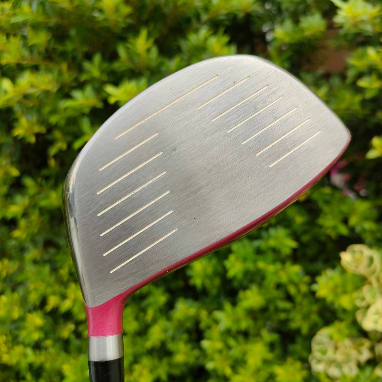 *ไม้กอล์ฟสำหรับผู้หญิง* DRIVER KASCO DIMPALS EL องศา 12 ก้าน DIMPALS FLEX L ** มาพร้อม COVER ตรงรุ่น ** สุดยอด Driver พรีเมี่ยมญี่ปุ่น!! ไม้กอล์ฟมือสอง ของแท้ BY NakaraLuxurious