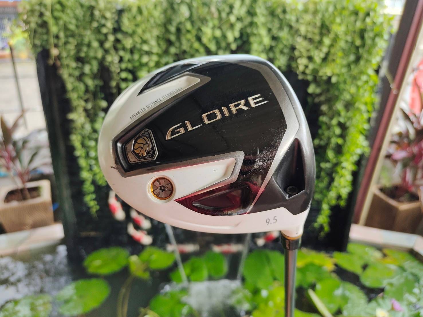 Driver Taylormade GLOIRE