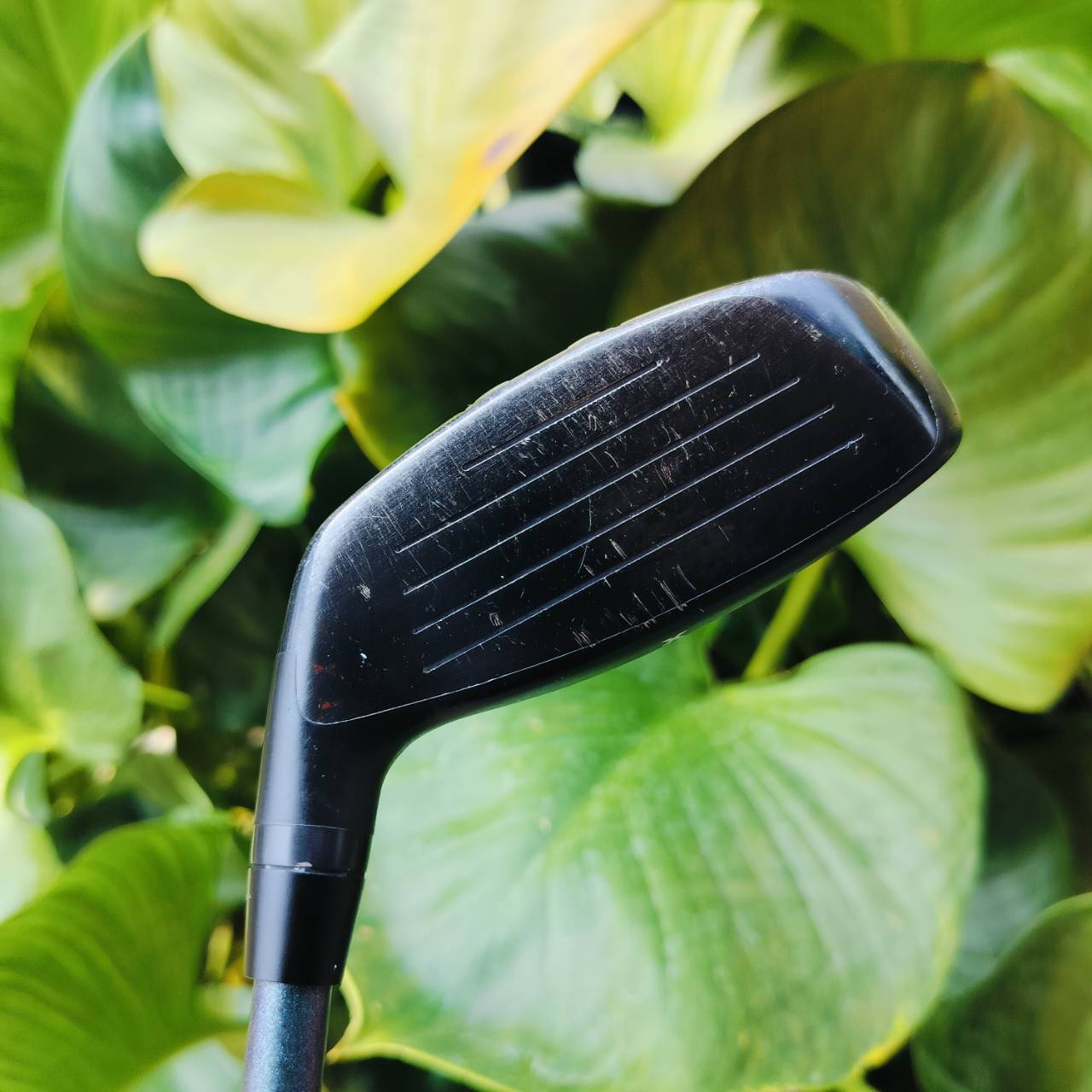 U4 PXG 0311XF GEN5 องศา 22 ก้าน AUTOFLEX SF405 ก้านโหดมาก!!! แค่ก้านอย่างเดียวก็คุ้มแล้ว สภาพสวยมาก ตีดีมากๆๆ ตีง่ายและไกล ฟีลลิ่งดีที่สุด ไม้กอล์ฟพรีเมี่ยมมือสอง ของแท้ By NakaraLuxurious