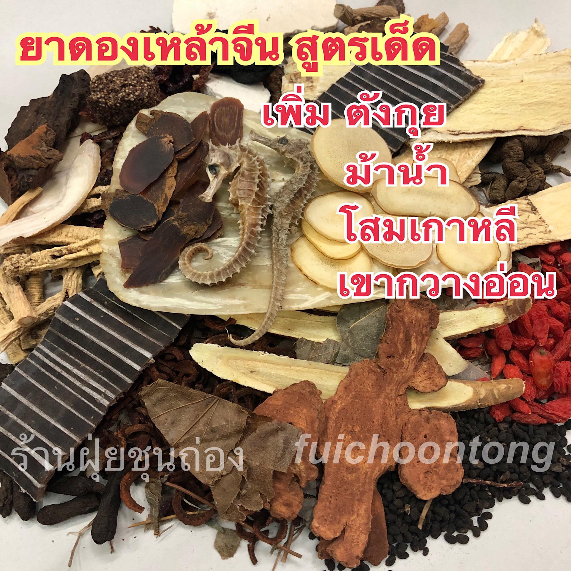 ยาดองเหล้าจีน สูตรเด็ด