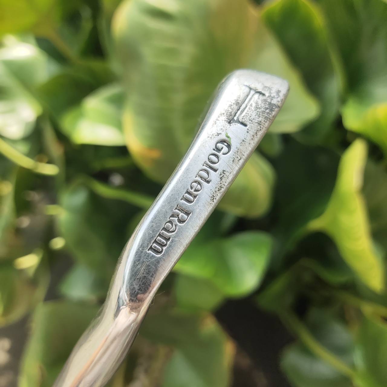 เหล็ก 1 GOLDEN RAM TOUR GRIND AXIAL แบรนด์อเมริกันที่มีประวัติยาวนาน Forged แบบ “Tour Grind Axial”