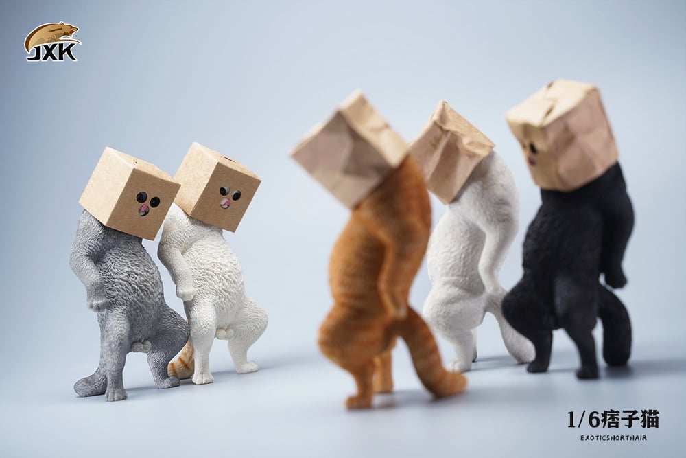 [สั่งจอง]JXK JXK088 1/6 : Exoticshorthair